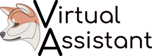 CA Virtual Assistant small